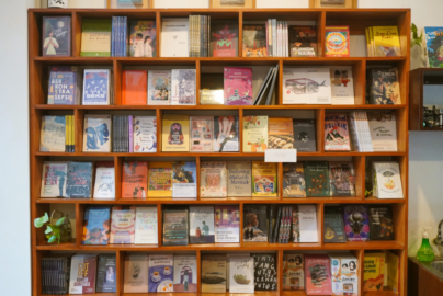 Bali Books Shelves