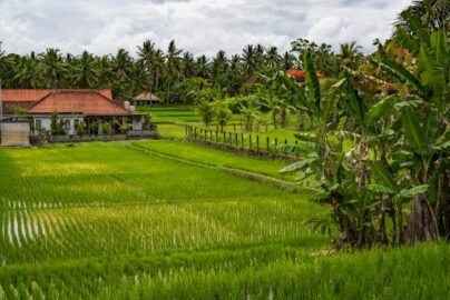 ubud bali
