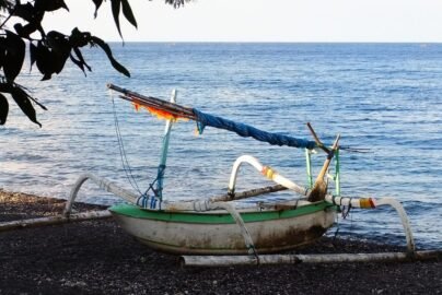 amed bali
