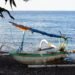 amed bali