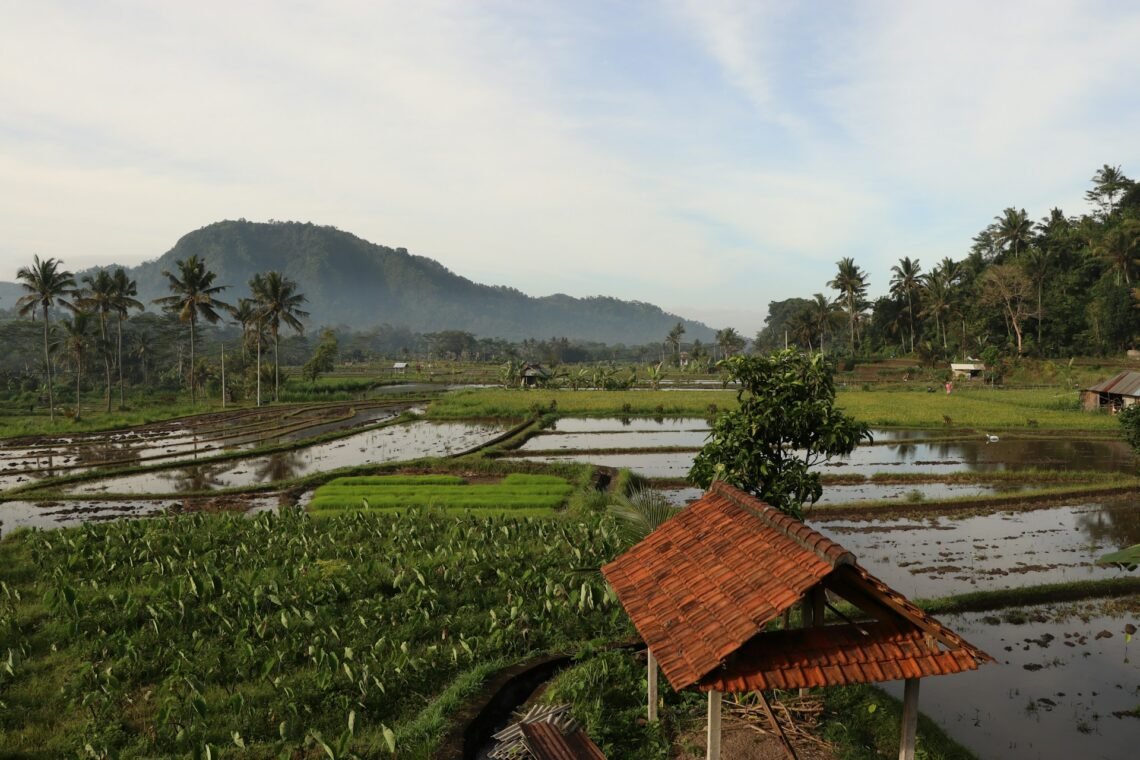 sidemen bali
