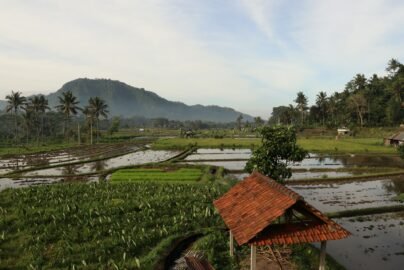 sidemen bali
