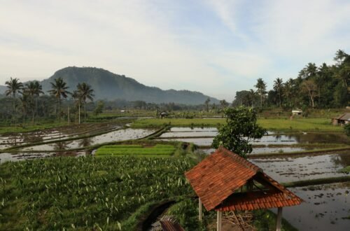 sidemen bali