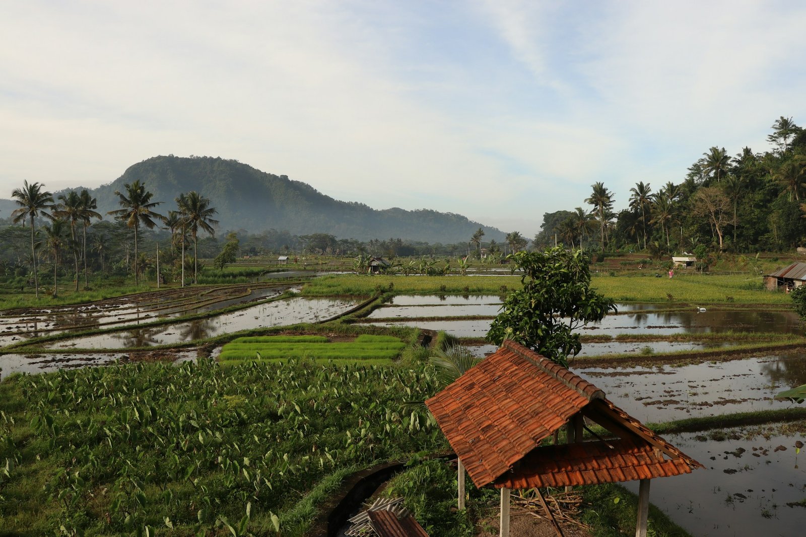 sidemen bali