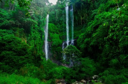 sekumpul waterfall